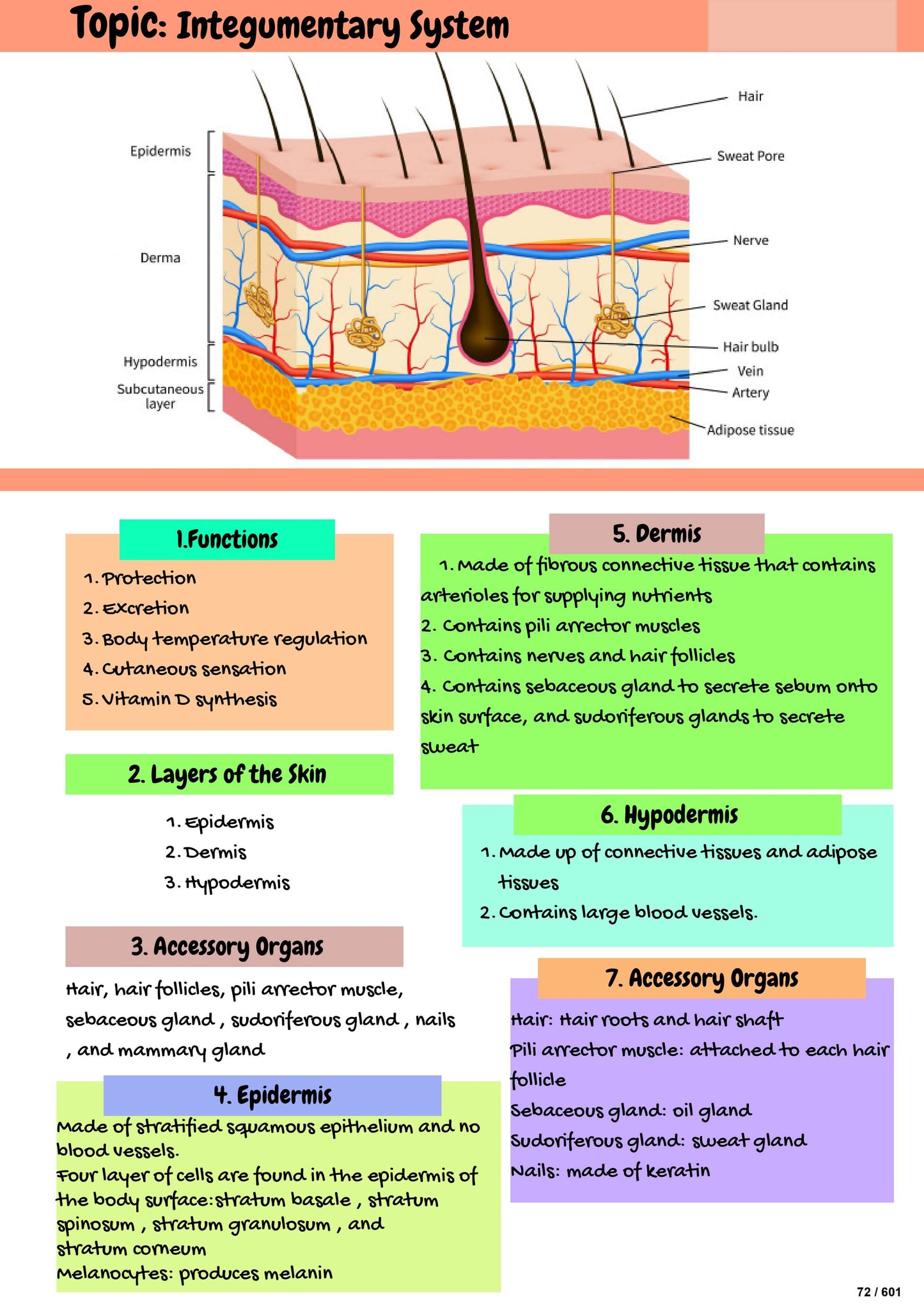 The Complete Nursing Study Notes — All Topics Covered | Pharmacology, Med-Surg & More (600+ Pages)