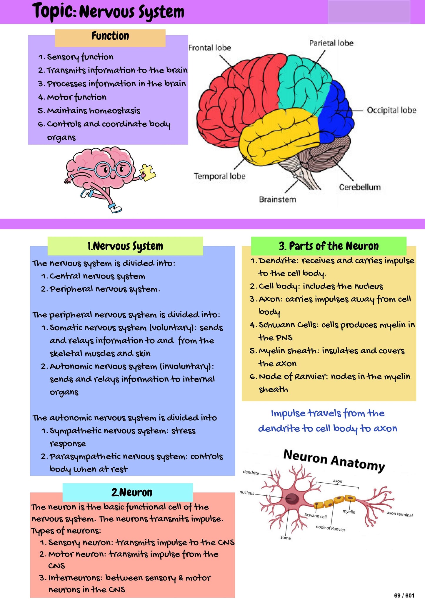 The Complete Nursing Study Notes — All Topics Covered | Pharmacology, Med-Surg & More (600+ Pages)