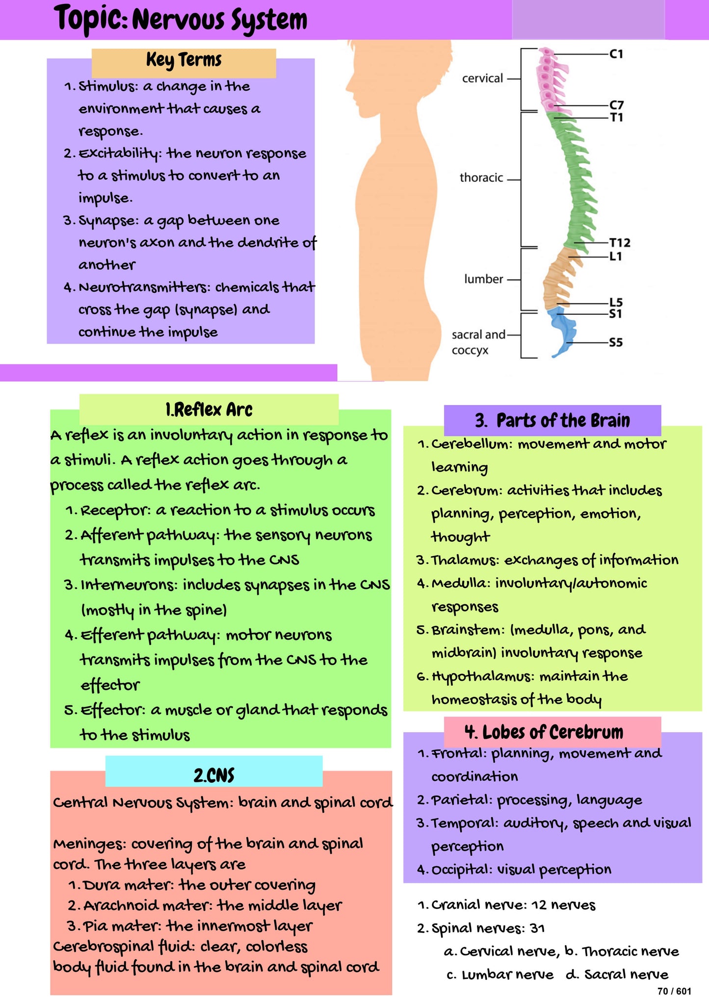 The Complete Nursing Study Notes — All Topics Covered | Pharmacology, Med-Surg & More (600+ Pages)