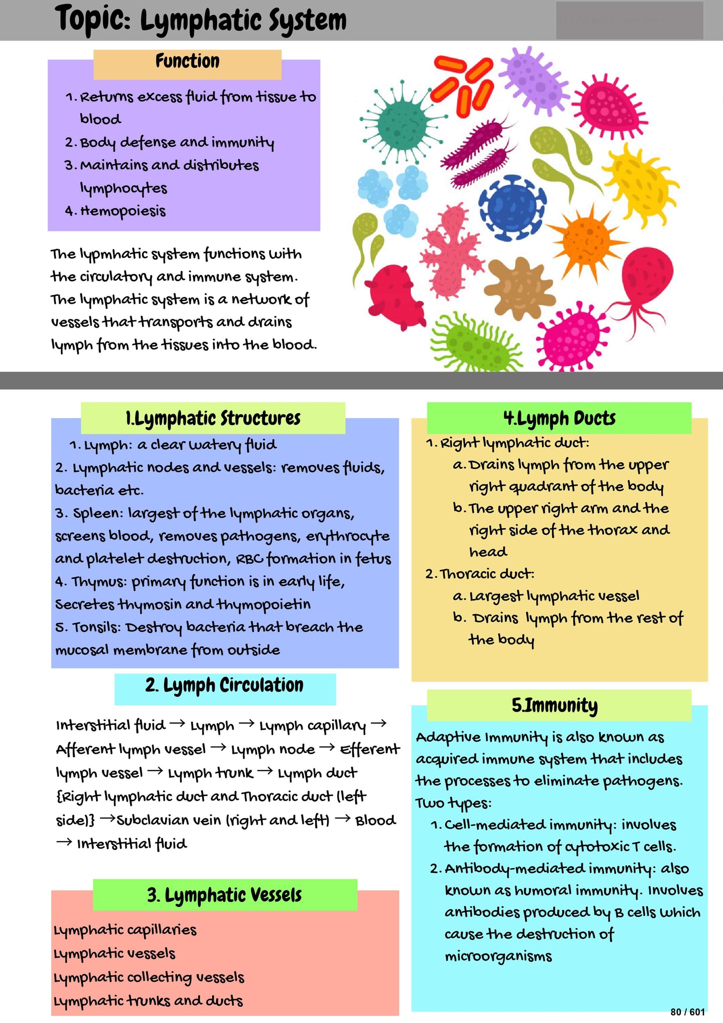 The Complete Nursing Study Notes — All Topics Covered | Pharmacology, Med-Surg & More (600+ Pages)