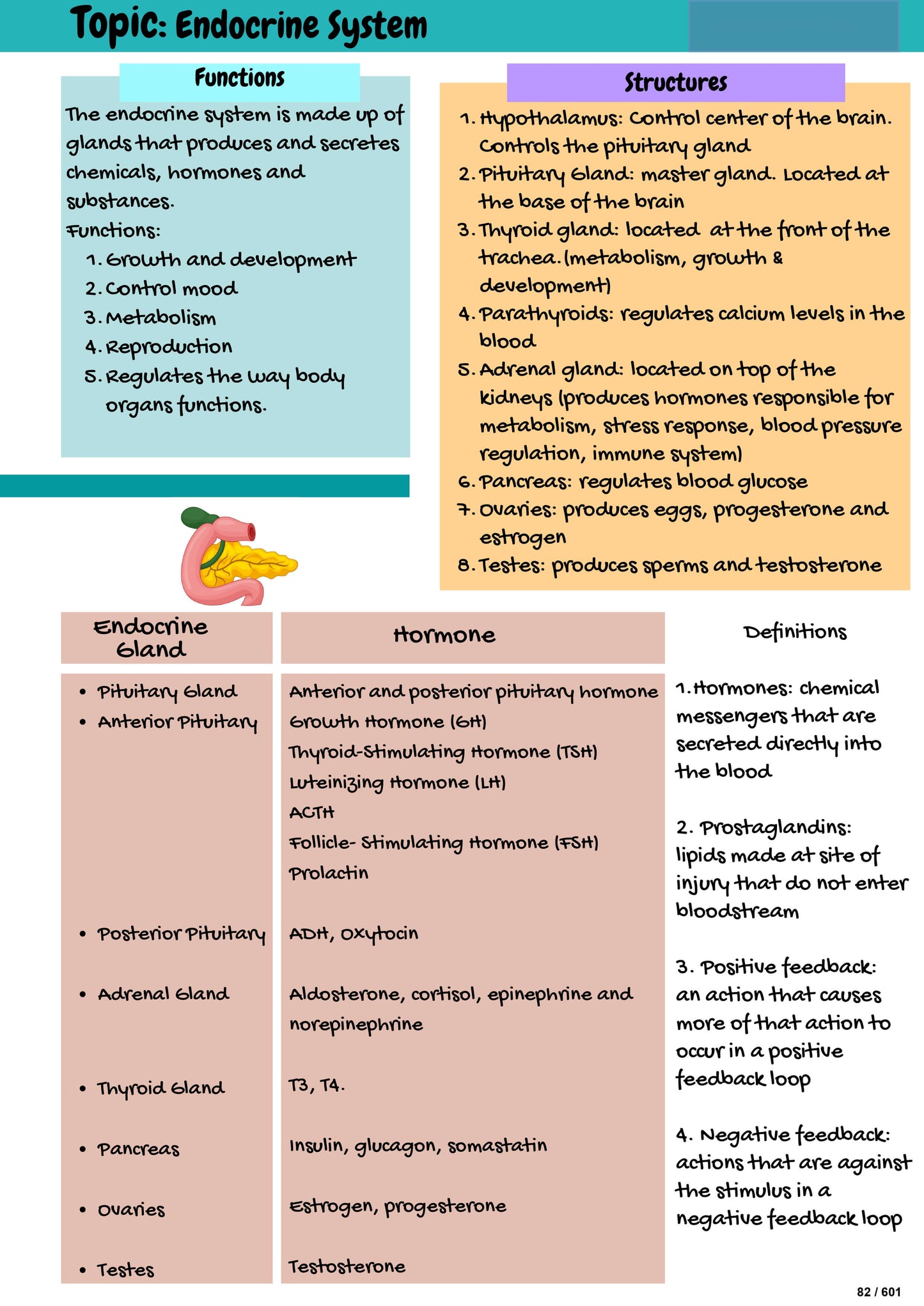 The Complete Nursing Study Notes — All Topics Covered | Pharmacology, Med-Surg & More (600+ Pages)